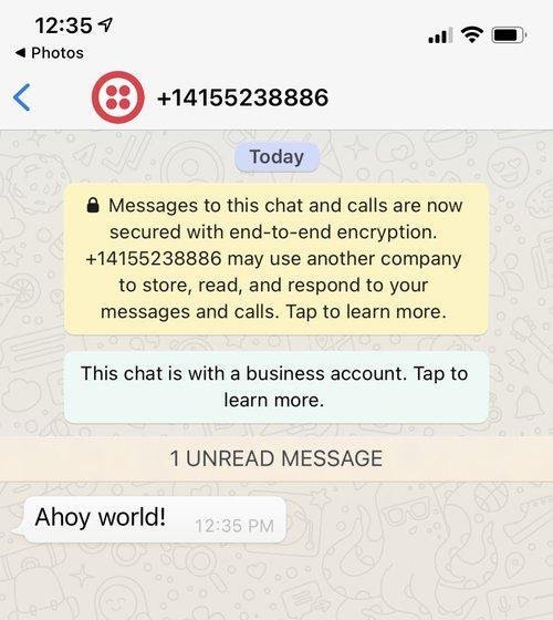 Cómo enviar un mensaje de WhatsApp en 30 segundos con JavaScript